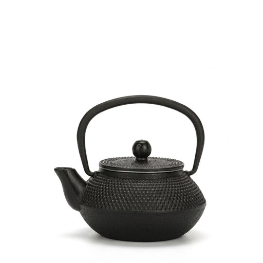 Cast Iron Teapot with Stainless Steel Mesh Filter — Induction Ready